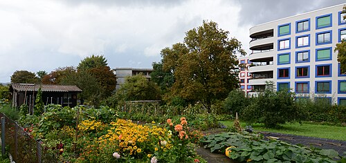 Siedlungsgenossenschaft Sunnige Hof
